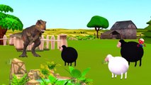 SuperHeroes And Animals Cartoons Singing Baa Baa Black Sheep Children Nursery Rhymes