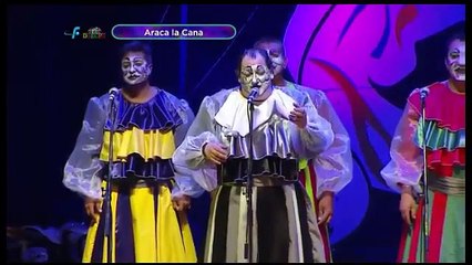 MURGA ARACA LA CANA 2016
