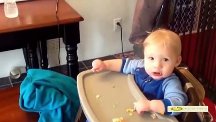 Top Funny Videos 2016 - Funny Videos - Try not to laugh or grin challenge - Funny vines 2016