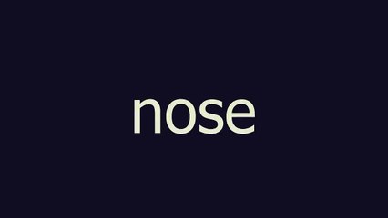 nose meaning and pronunciation