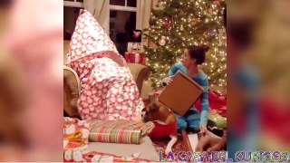 La magia de la navidad - Videos Sorprendentes