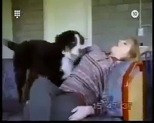 hola, nada, para que te rias un rato.  Videos Sorprendentes