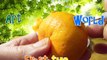 ART FRUIT THE WORLD - Fruit Carving Orange Mandarin Clementine Garnish