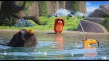 Peter Dinklage, Jason Sudeikis, Danny McBride In 'The Angry Birds Movie'