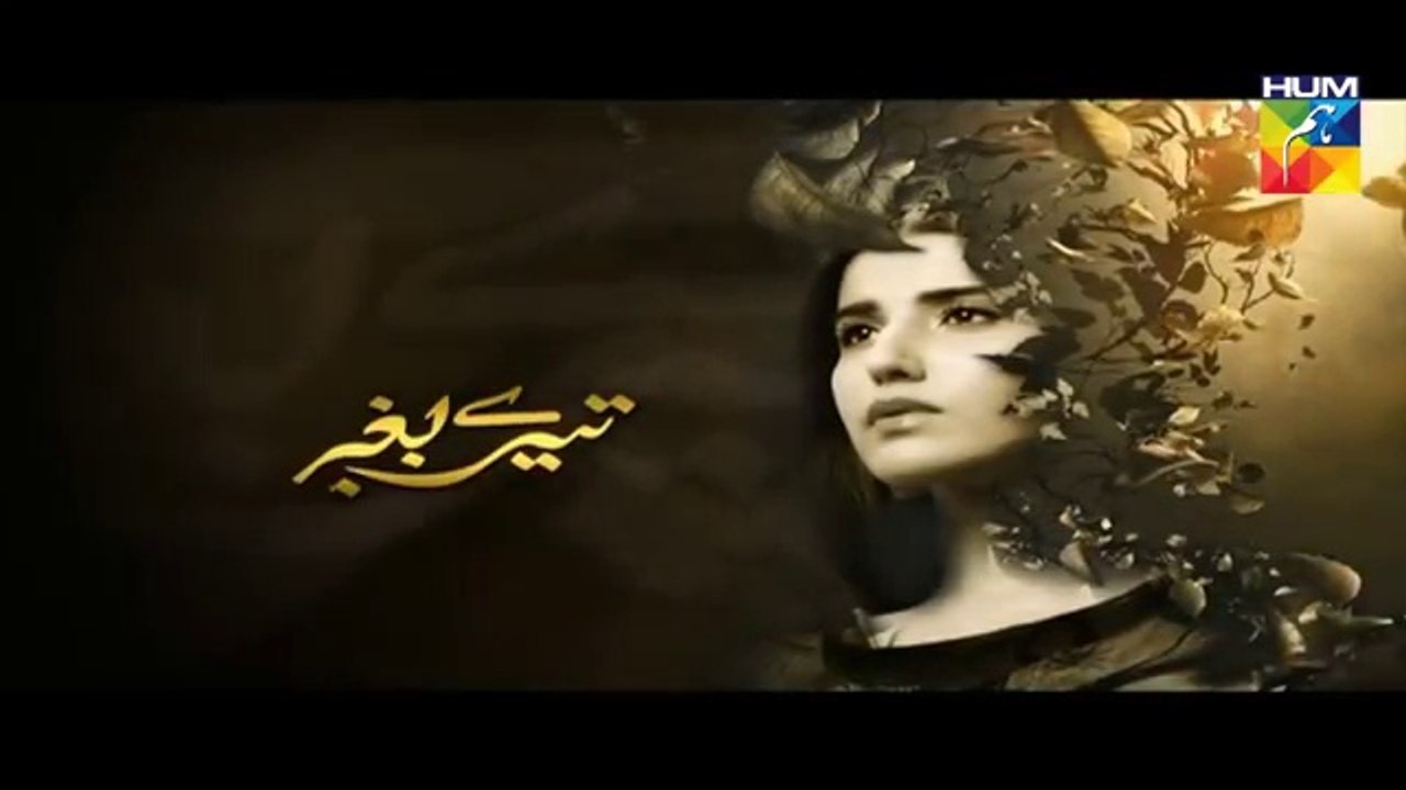 Tere Baghair Episode 16 Last Full HUM TV Drama 28 Jan 2016