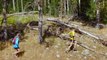Chasing Wolverines With Help From Ultra-Runners