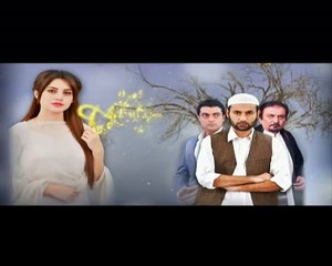 Rab Raazi Episode 3 P2