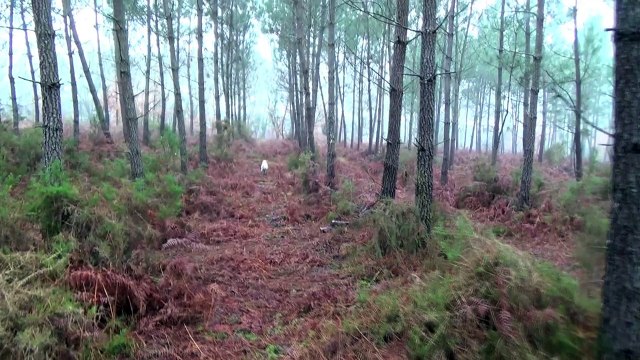 Débourrage de Léa des Collines de l'Izars le 26 janvier 2016