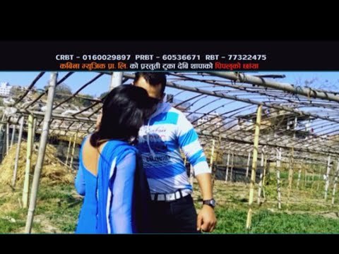 Pipaluko Chhanya | New Song 2072/2015 | Birahi Karki, Dinesh Thapa , Muna Thapa | Kabina Music