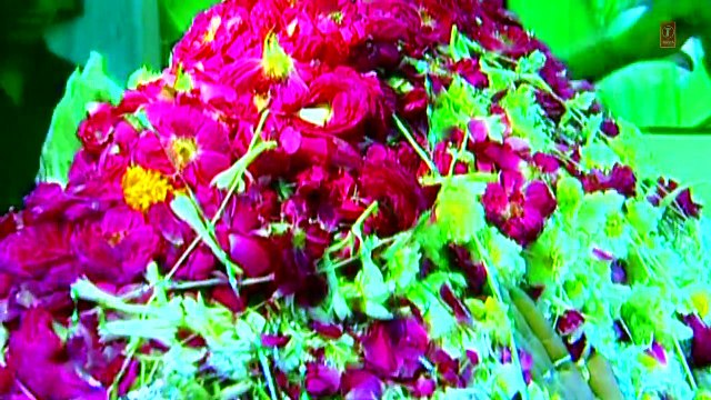 ..Aane Se Waliyon Ke Full (HD) Waliyon Ka Karam.. - Adnan Ali Abbas