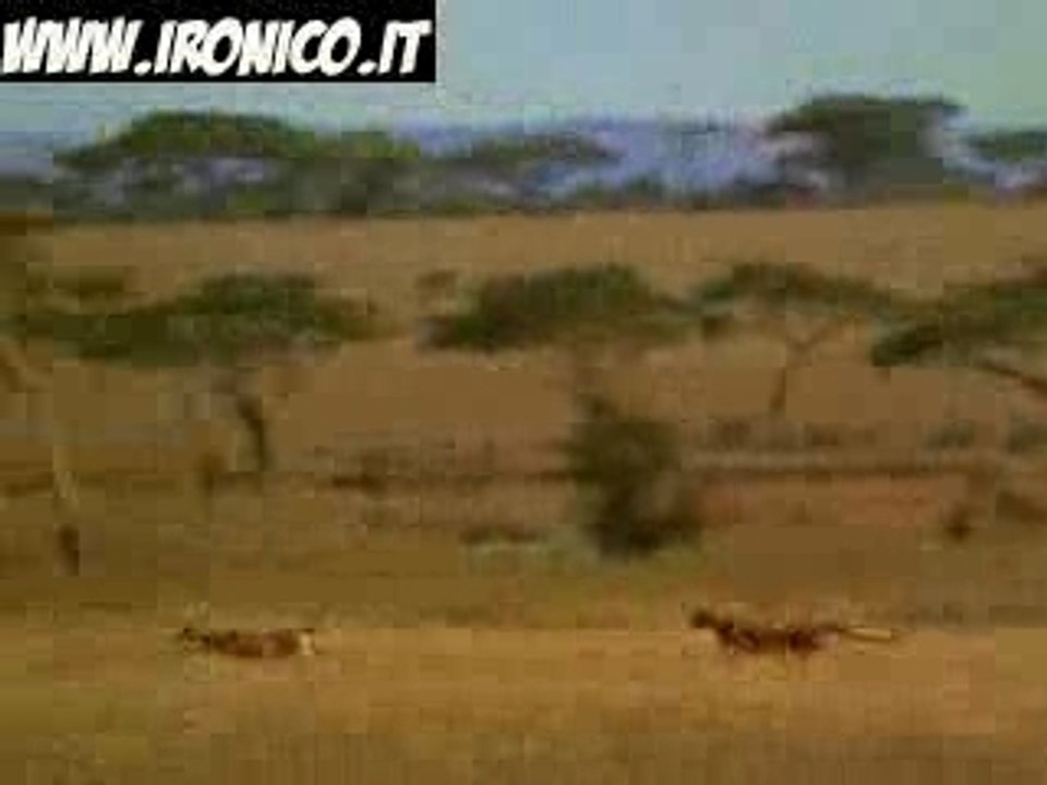 Rubato