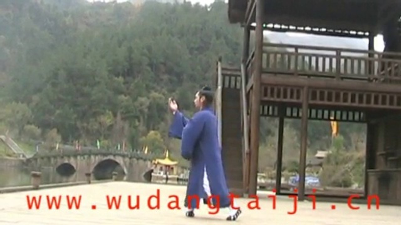 wudang shi san shi taiji quan