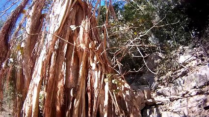 Fiarahana 2015 - Rencontres et solidarité au bout du monde
