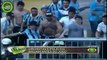 Crazy Brazilian Hooligans  - brazilians clash with police,