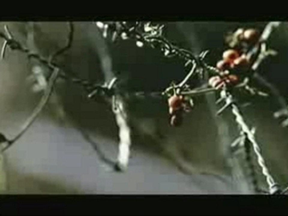 Lil Scrappy - Oh Yeah Work ft Sean Paul and E-40