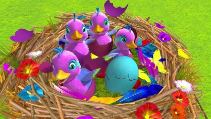 Five Little Ducks Number Nursery Rhyme for Children (Everythings Rosie)