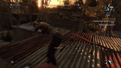 Dying Light My Gameplay (5)