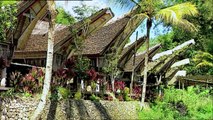 Indonesia Toraja Village   Tribes & Ethnic Groups