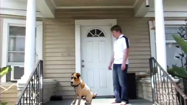 Winx Clu Nickelodeon One-Hou Specia 2: Reveng of Th Trix