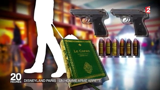 Disneyland Paris : un homme armé arrêté à l'intérieur du parc d'attractions