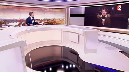 Disneyland Paris : un homme de 28 ans interpellé dans un hôtel avec deux armes