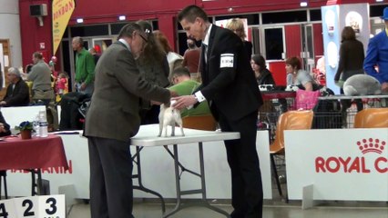 Exposition Internationale Perpignan 2016