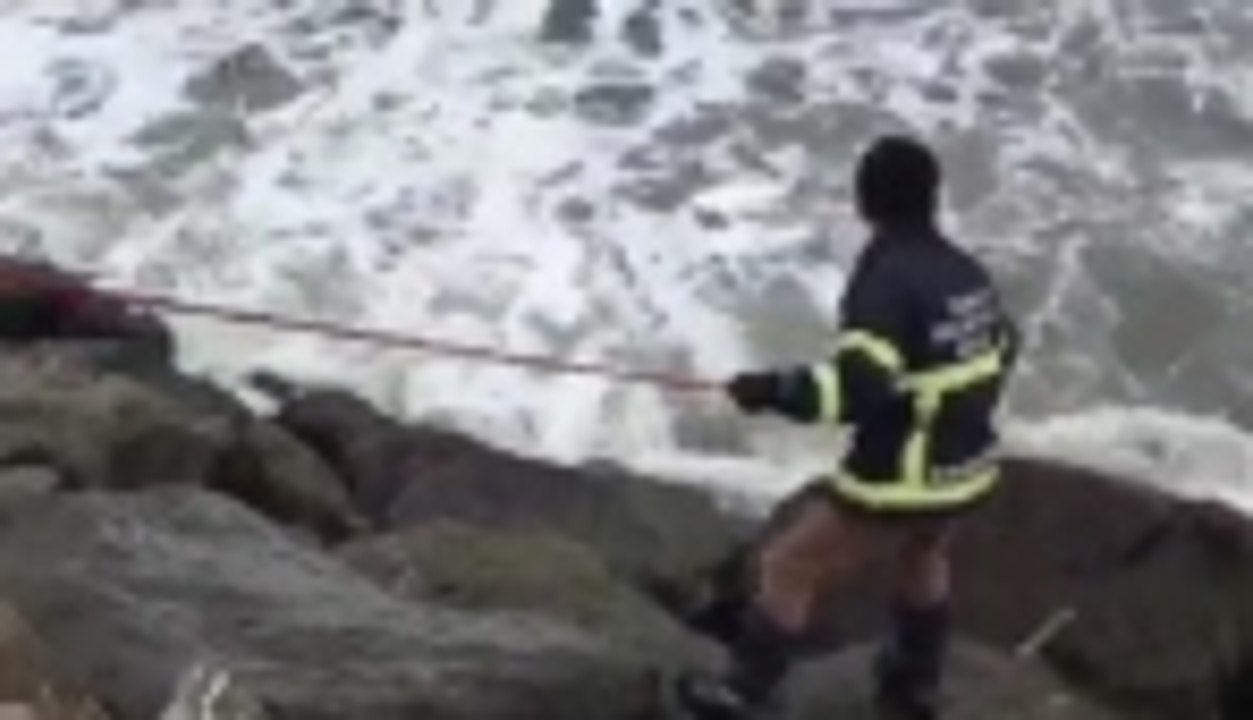 Sinop'ta Karaca kurtarma operasyonu