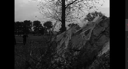 검빛경마／／ T N T 9 0 0 。c0m ／／바카라싸이트