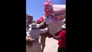 Funny Arabic and Camel Video