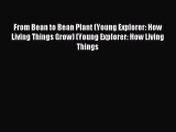 (PDF Download) From Bean to Bean Plant (Young Explorer: How Living Things Grow) (Young Explorer: