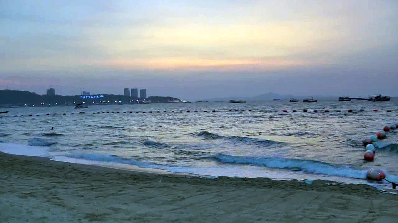 The Thai Girl in Club Hamberg Pattaya Thailand