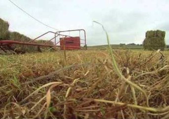 How the Irish Bale Hay