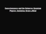 Consciousness and the Universe: Quantum Physics Evolution Brain & Mind  PDF Download