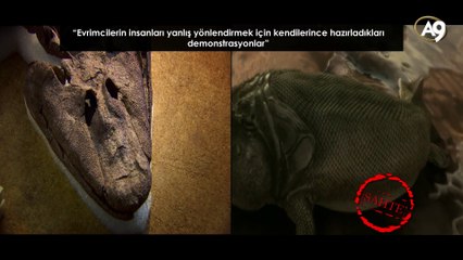Sahte teoriye sahte fosil: Tiktaalik roseae