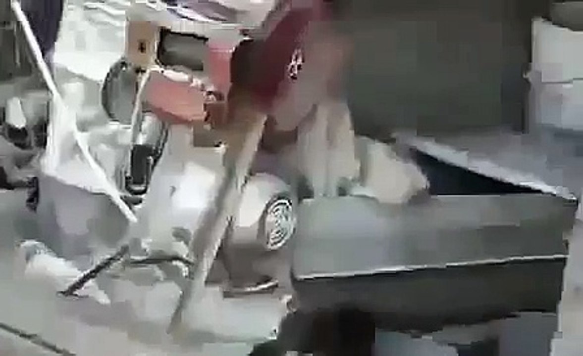 10 Funny animals videos, Witzige Tiere Videos, Divertidos videos de animales.