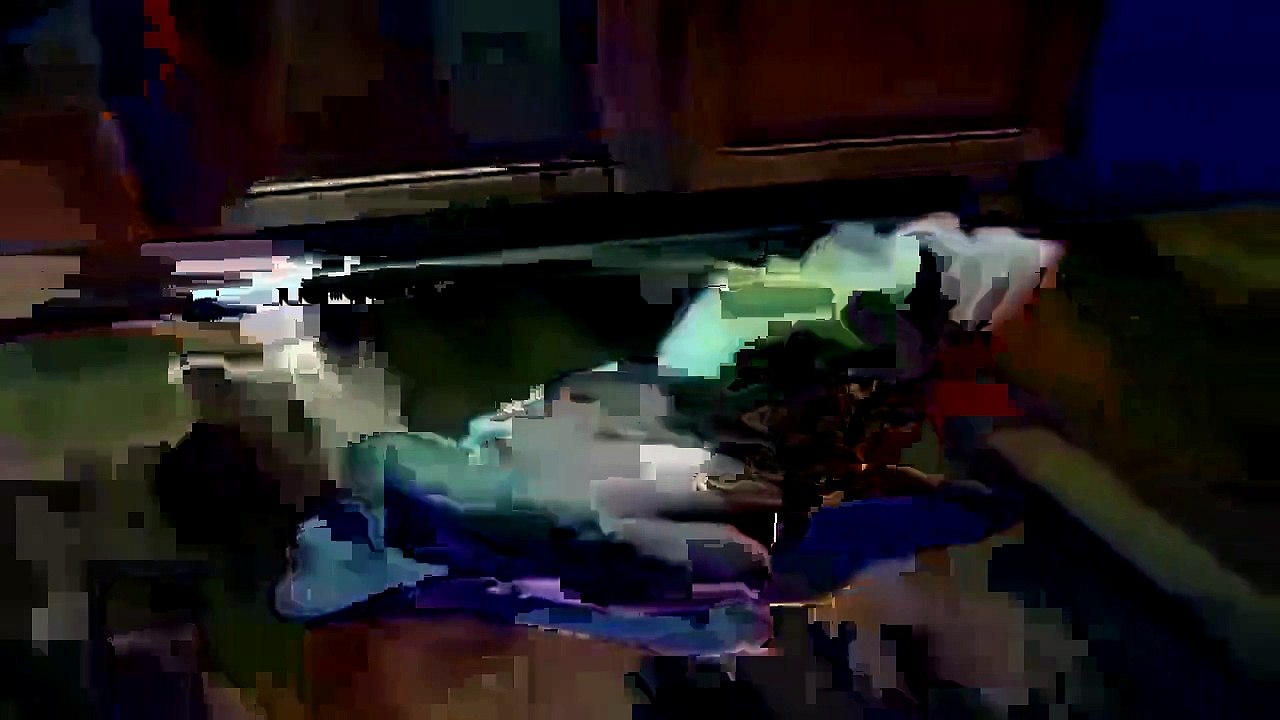 Lustige Papagei. Lustige Tiere. Funny parrot.