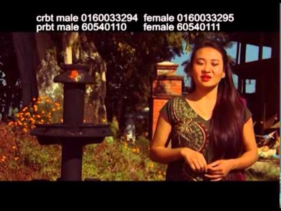 Phoolko Phool | Latest Nepali Lok Dohori Songs | Welcome Creation