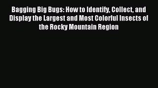 (PDF Download) Bagging Big Bugs: How to Identify Collect and Display the Largest and Most Colorful
