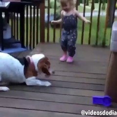 Ufak kız ile Köpeğin inanılmaz oyunu