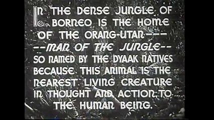 The Beast of Borneo (1934) JUNGLE ADVENTURE