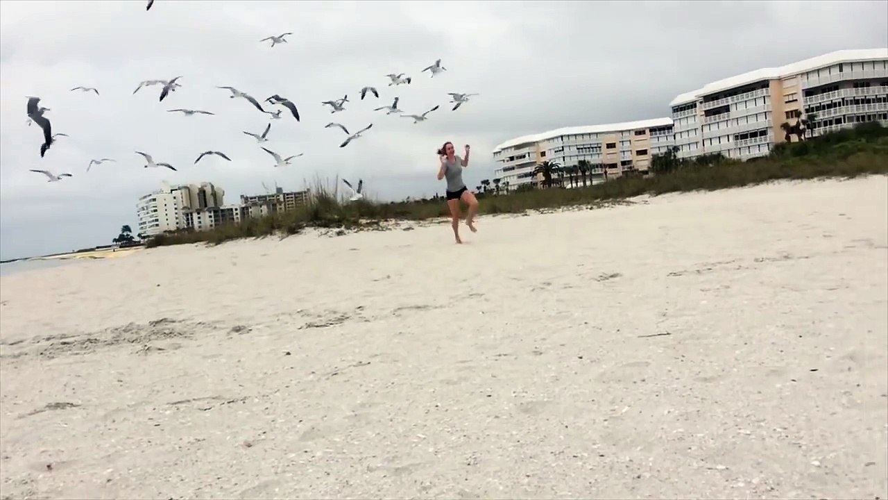 Seagulls Chase A Girl Down The Beach