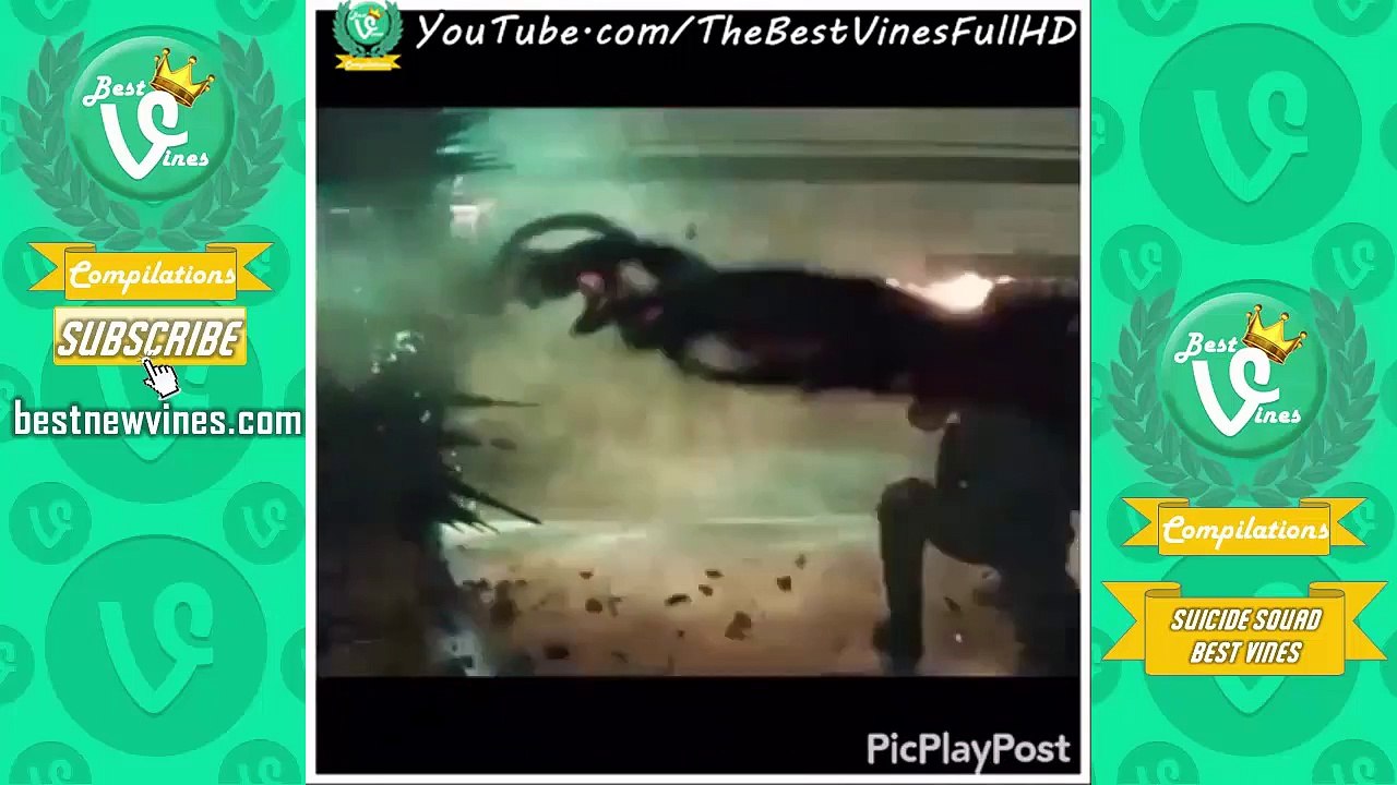 Best Vines Suicide Squad Compilation: Ultimate Suicide Squad Vines Edits