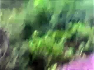 (VIDEO) Moment Passenger Plane Crashes into Hills in Islmabad