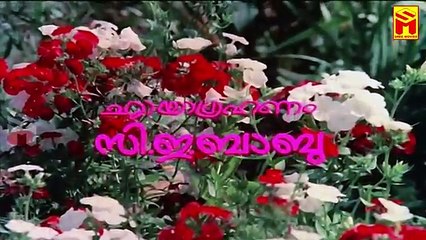 OnYukleme(SDailyBOT)54