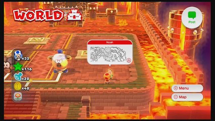 LP Super Mario 3D World Episode 17 - Mario Or Sonic