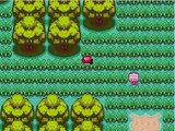 Pokemon Ash Gray Part 2 Viridian Forest - Pokemon Games
