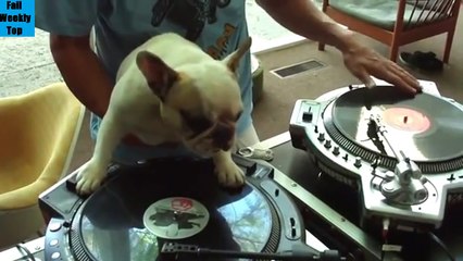 Weekly Top Fail & Win Compilation February 2014