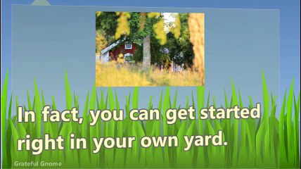 Backyard Bird Watching As A Hobby