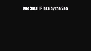 (PDF Download) One Small Place by the Sea Download