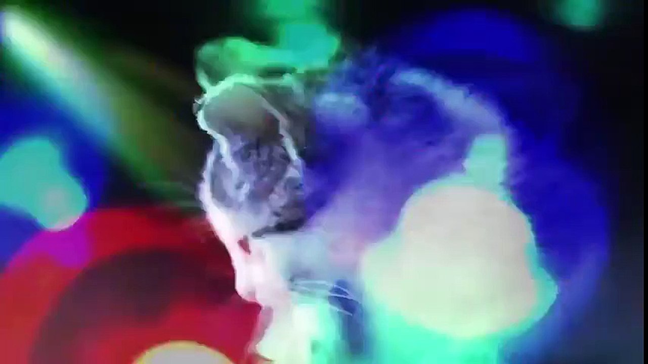 Funny Cat Video - Pass the Cat Nip